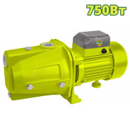 Насос cамовсасывающий ,220 В, 750 Вт, 50 л/мин,  DYLLU DTWPJA03