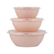 Набор мисок с крышками, 3 шт., Helsinki, персиковая карамель  ...PLAST TEAM PT128010040