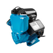 Станция водоснабжения автоматическая ENERGY-III-3000 (750 Вт, 3000 л/ч, 55 м, корпус чугун, для водо...A&P AP118E003