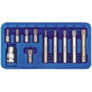 Головки-биты специальные SPLINE m5-m12 (набор 11пр.)   66770VOREL 2551
