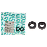 Сальник  ST38/45/55  ECO GTP-ST38/55-010