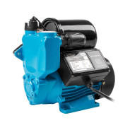 Станция водоснабжения автоматическая ENERGY-III-2200 (370 Вт, 2200 л/ч, 35 м, корпус чугун, для водо...A&P AP118E001