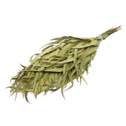 Веник эвкалиптовый, в упаковке  БАННЫЕ ШТУЧКИ 03691