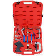 Набор фиксаторов распредвала (Renault)  Force 917G1