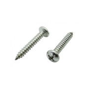 Шуруп 5.5х19 мм полусф. головка, белый цинк, острый, DIN 7981 (50 шт в зип-локе)  ...STARFIX SMZ1-50279-50