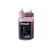 Масло моторное 2-х тактное 1 л с дозатором  DIVINOL 26150LK-C106