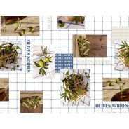 Клеенка столовая, нетканая основа с ПВХ покр., коллекция "DECO", 1 м.пог. (Отгружаем кратн...PERFECTO LINEA 11-165188