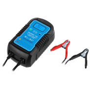 Зарядное устройство CH-81 Digital  SOLARIS CH81D011