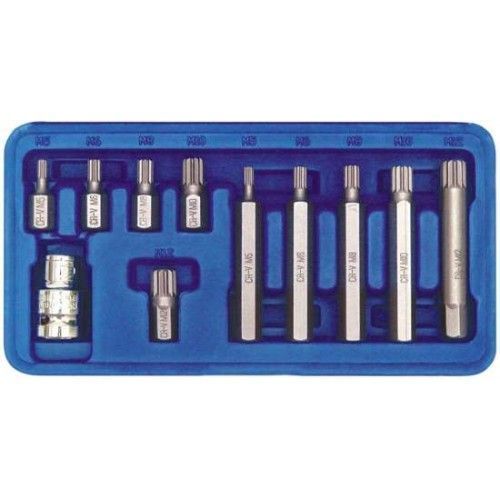 Головки-биты специальные SPLINE m5-m12 (набор 11пр.)  VOREL 66770