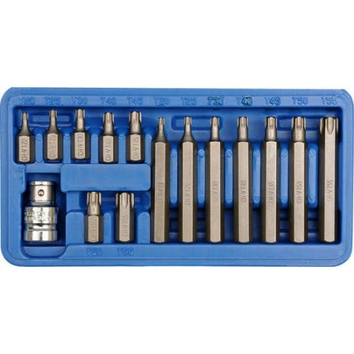 Головки-биты специальные TORX t20-t55 (набор 15пр.) VOREL 66580