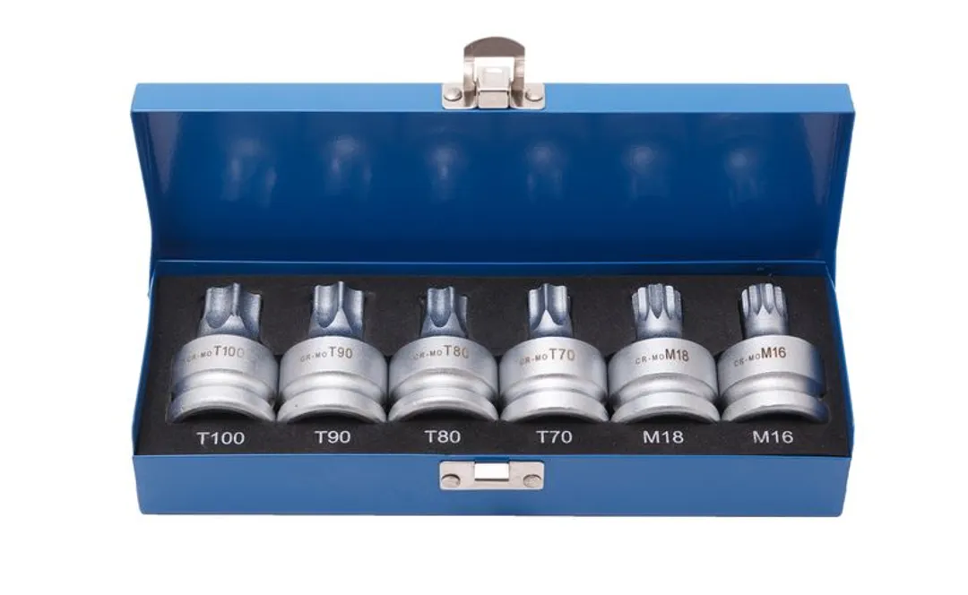 Набор головок Torx, Spline с отверстием 3/4''6пр.(Т70, Т80, Т90, Т100, М16, М18), в кейсе RockFORCE RF-305116