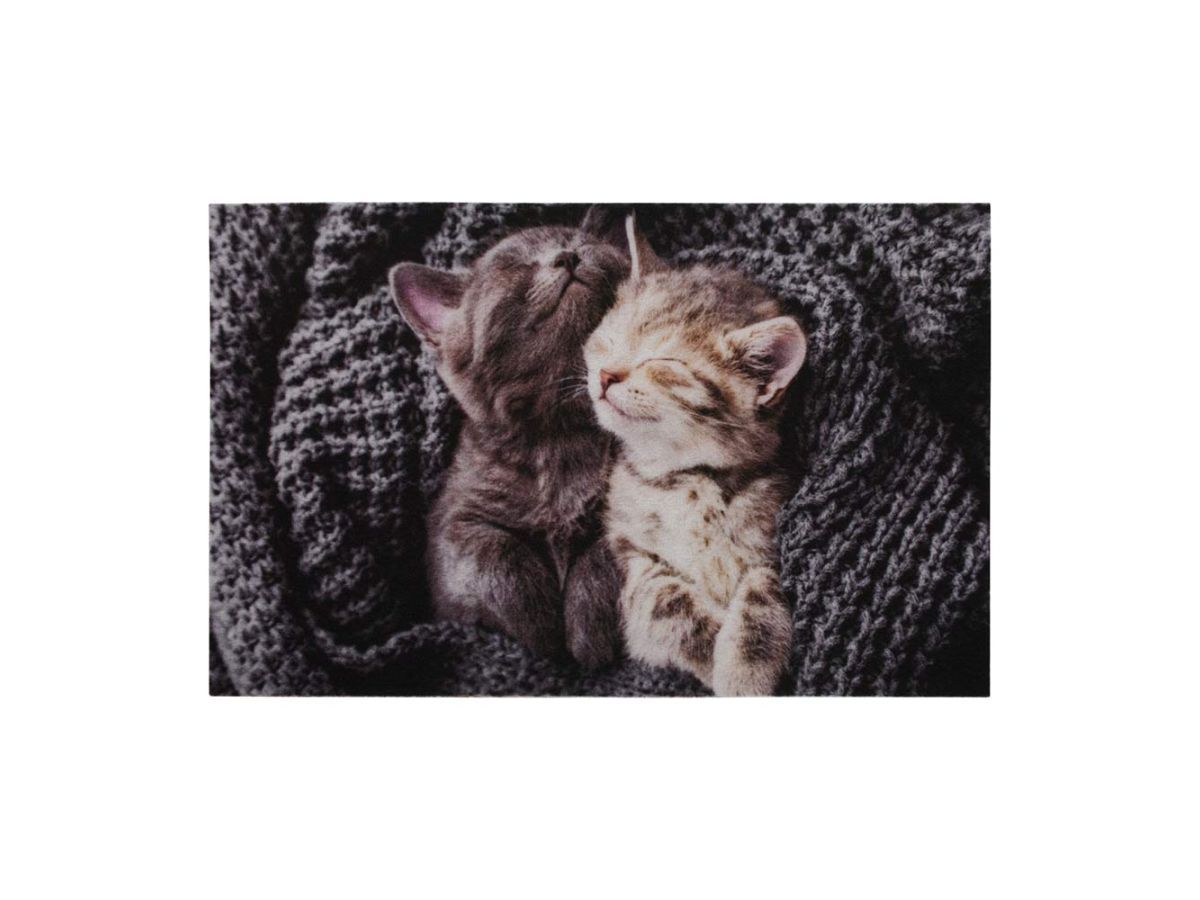 Коврик влаговпитывающий "Samba" 50*80 см. "Милота", котята ВОРТЕКС 24404