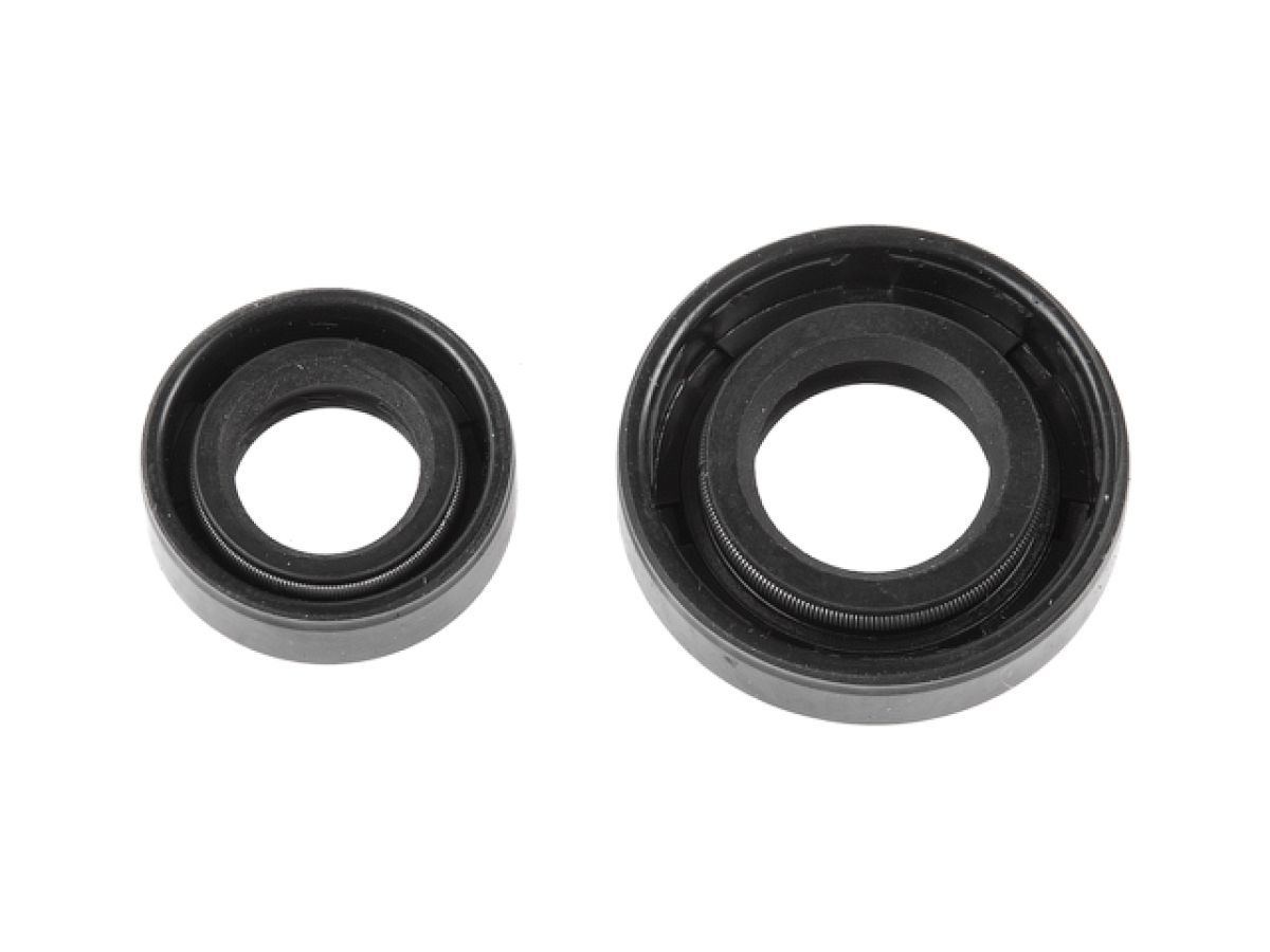 Комплект сальников (15*30*7 + 12*22*7) ECO GTP-X014