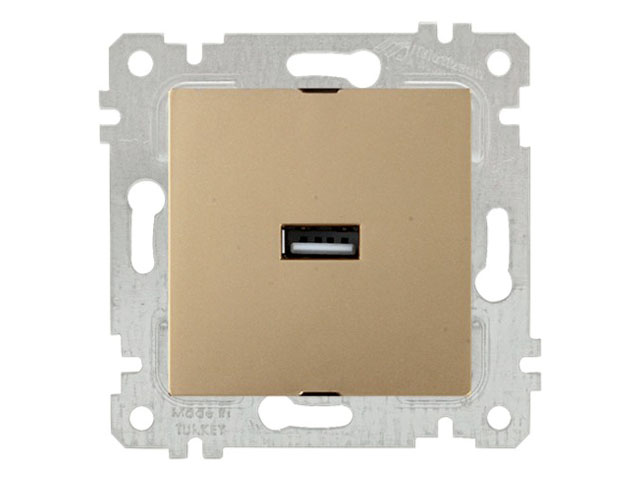 Розетка 1-ая USB (скрытая, без рамки) золото, RITA (16 A, 250 V, IP 20)  ...MUTLUSAN 2200 448 0180
