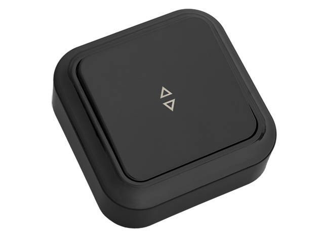 Выключатель 1 клав. (открытый, 6А) проходной черный, Пралеска BYLECTRICA А610-147чер