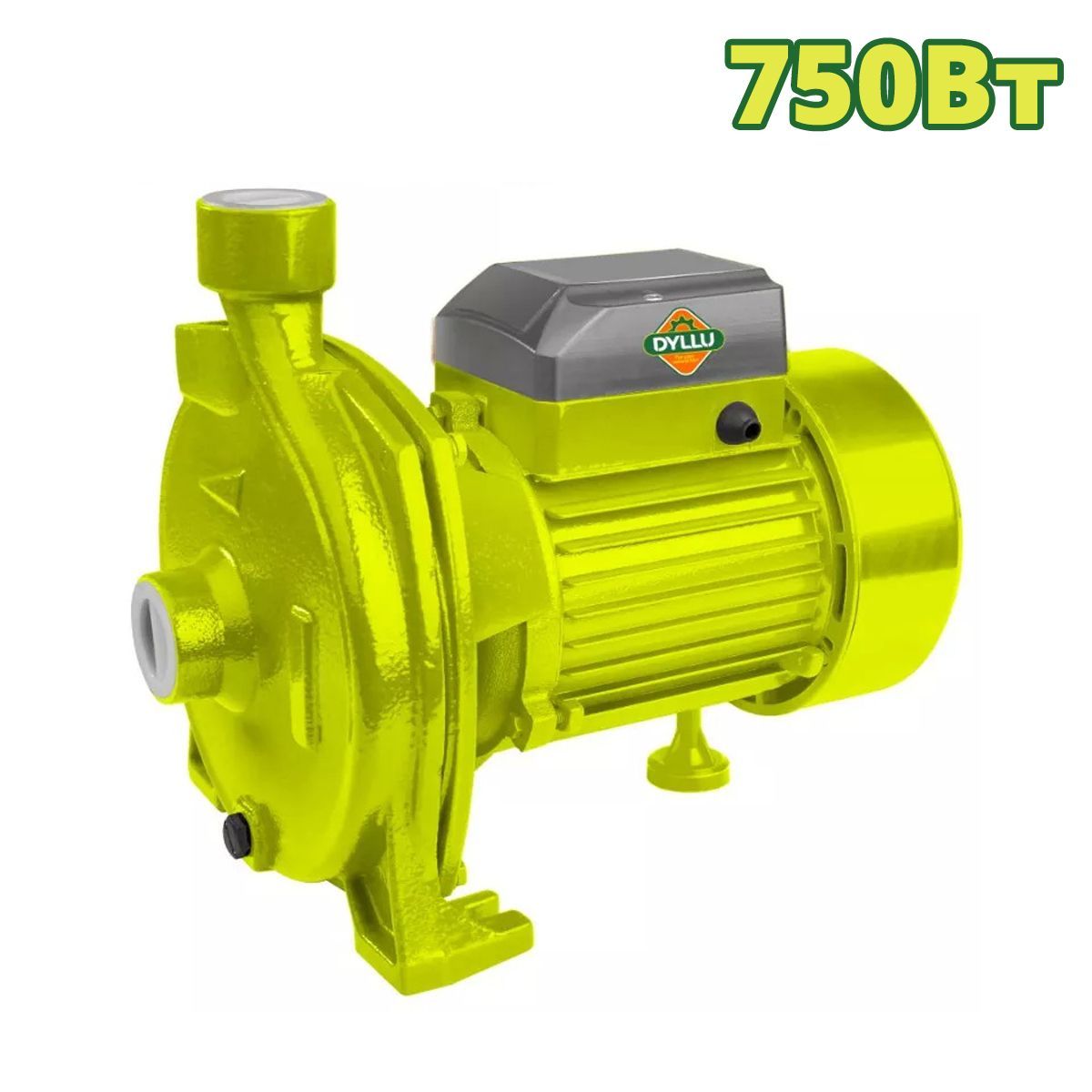 Насос центробежный, 220 В, 750 Вт, 100 л/мин ,DYLLU DTWPCA03