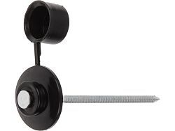 Гвоздь кровельный 2.8х70 мм с пласт. шляпкой, черный (100 шт в пласт. конт.) (для ондулина)  ...