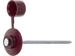 Гвоздь кровельный 2.8х70 мм с пласт. шляпкой, бордо (100 шт в пласт. конт.) (для ондулина)  ...