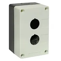 КП102 пластиковый 2 кнопки белый  