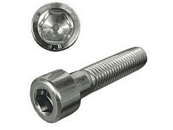 Винт М6х10 мм с внутр. шестигр., цинк, кл.пр. 8.8, DIN 912 (5 кг)  