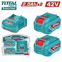 Аккумулятор (2) с зарядным устройством  