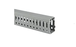 Канал кабельный перфорированный (ВхШ: 60х25мм.) PROxima  