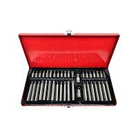 Набор вставок TORX 40 предметов ГАММАТЕСТ 