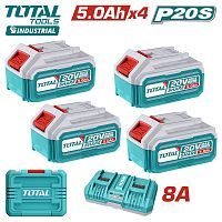 Аккумулятор (4) с зарядным устройством (в кейсе)  