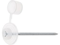 Гвоздь кровельный 2.8х70 мм с пласт. шляпкой, бесцветный (100 шт в пласт. конт.) (для ондулина)  ...