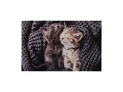 Коврик влаговпитывающий "Samba" 50*80 см. "Милота", котята  ...