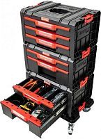 Набор ящиков для инструментов  System PRO Drawer Workshop SET 1, 2.0 (черный)  ...
