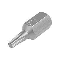 Вставка T25 10x30 мм  