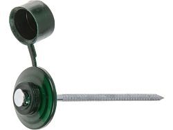 Гвоздь кровельный 2.8х70 мм с пласт. шляпкой, зеленый (100 шт в пласт. конт.) (для ондулина)  ...