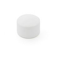 Заглушка ПП 25 PN 25, белый  РосТурПласт 10549